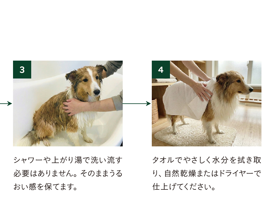 【犬猫用】美容沐浴液 ｜BEAUTY BATH ESSENCE